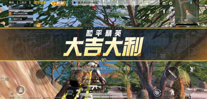 和平精英ios免费开科技 - 苹果专用辅助新体验